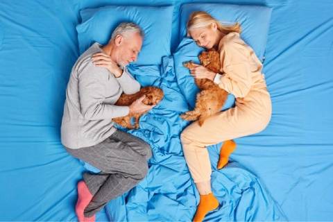 Pros y contras de dormir con tu mascota