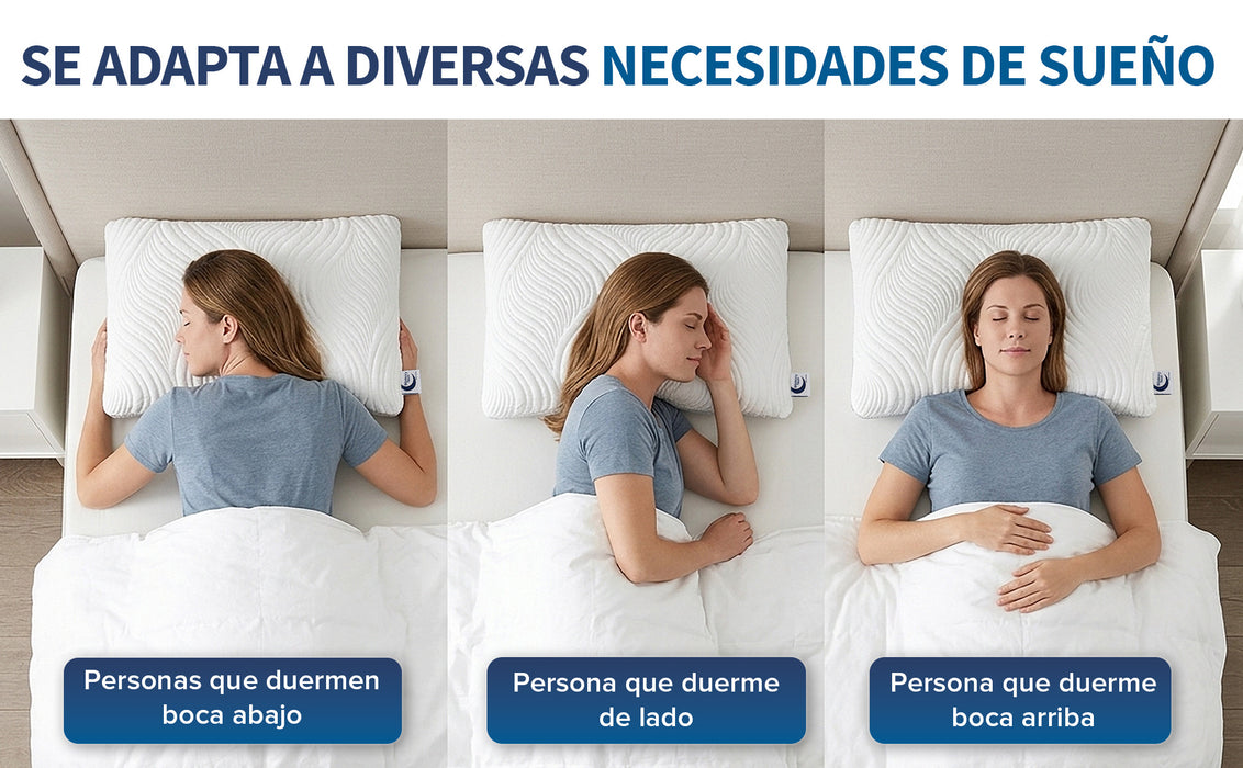 MEMORY DREAM THERAPY  Almohada de Memory Foam triturado, Almohada de Lujo,  Almohada de alta calidad